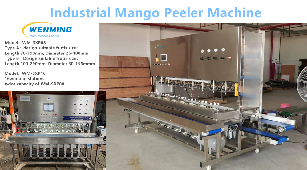 Industrial Big Capacity Automatic Peeling Machine Mango Peeling Machine -  China Mango Peeler, Mango Peeling Machine