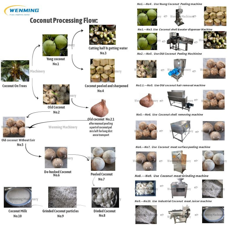 Coconut Grinder-Coconut Shredder Machine-Fruits Grinding Machine – WM  machinery