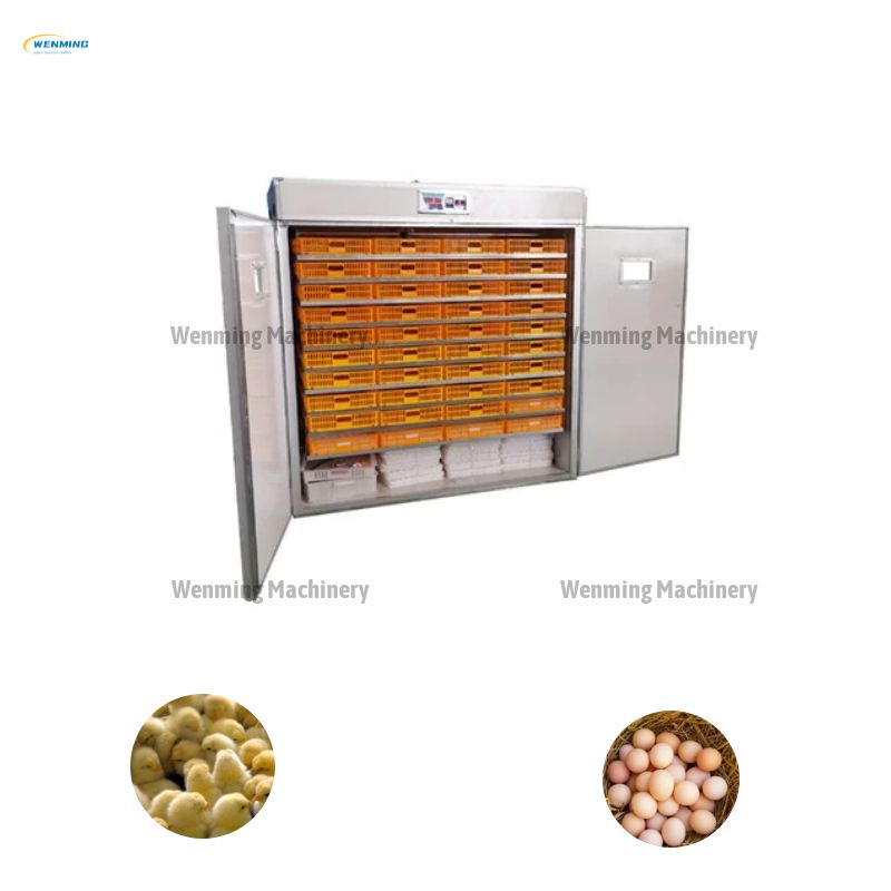 Fully Automatic Large Chick Incubator