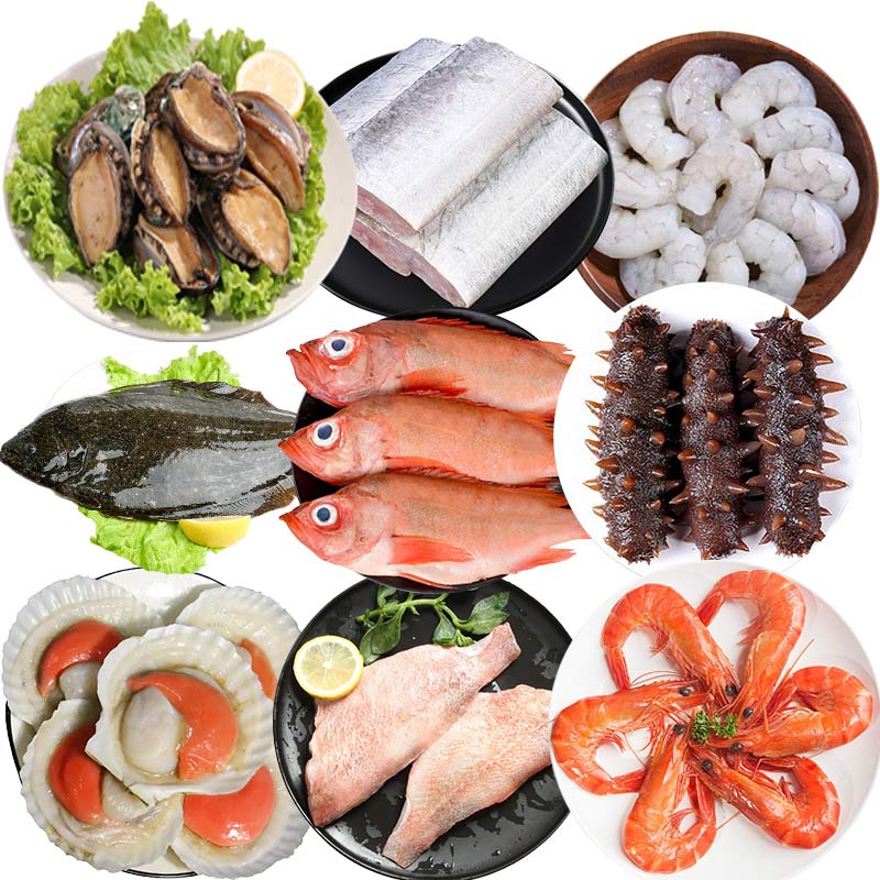 Quick Freeze Machine