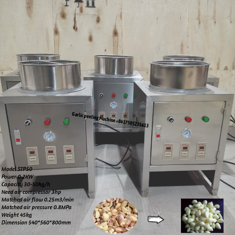 Dry Type Small Garlic Peeling Machine, Stainless Steel