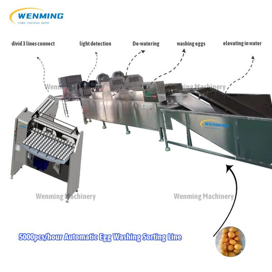 Egg Washing-Sorting-Production Line