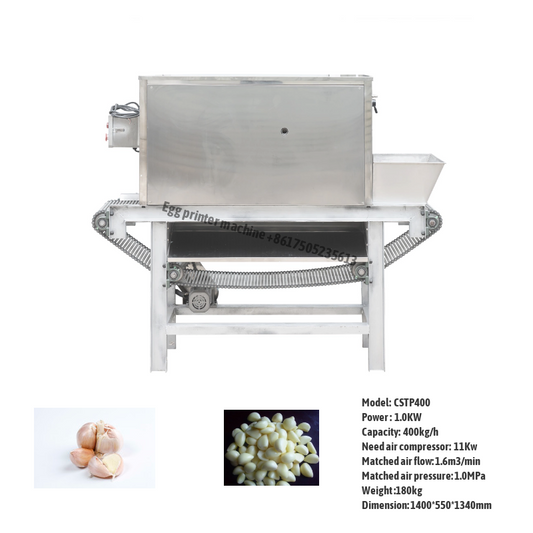 Chian type Garlic Peeling Machine