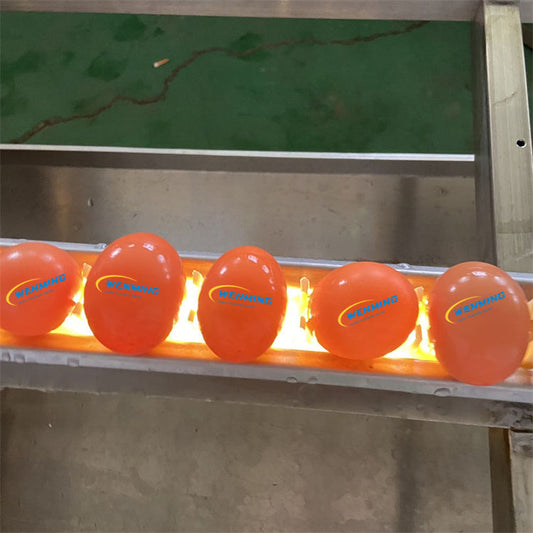 Egg Detecting Machine