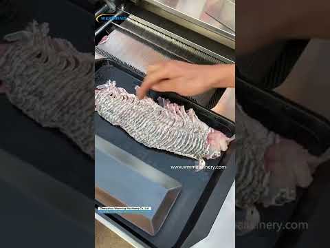 Saveing labar Electric Salami Slicer like a Human Chef Automatic Fish Slicing Machine