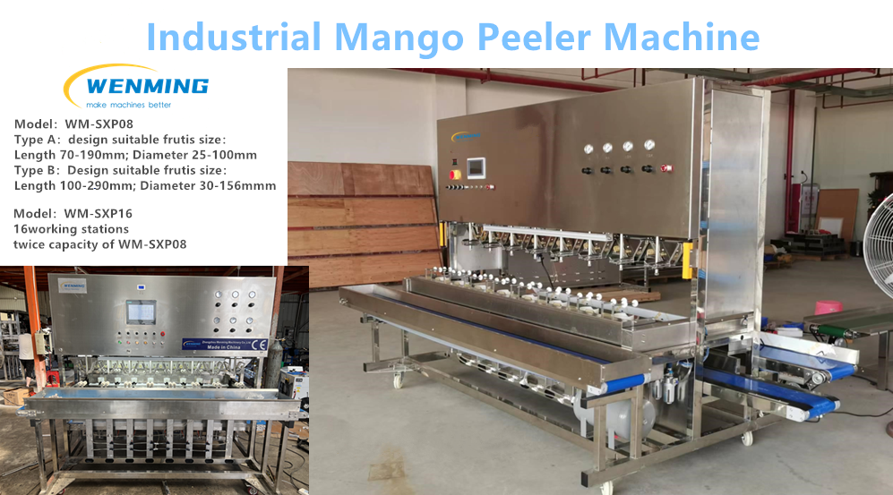 Mango Shake Machine How to use the WM 16 working station High Speed Mango Peeling Machine ...