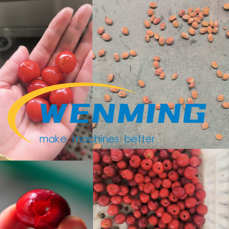 Cherry Pitting Machine