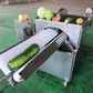 Automatic Papaya half cutting machine