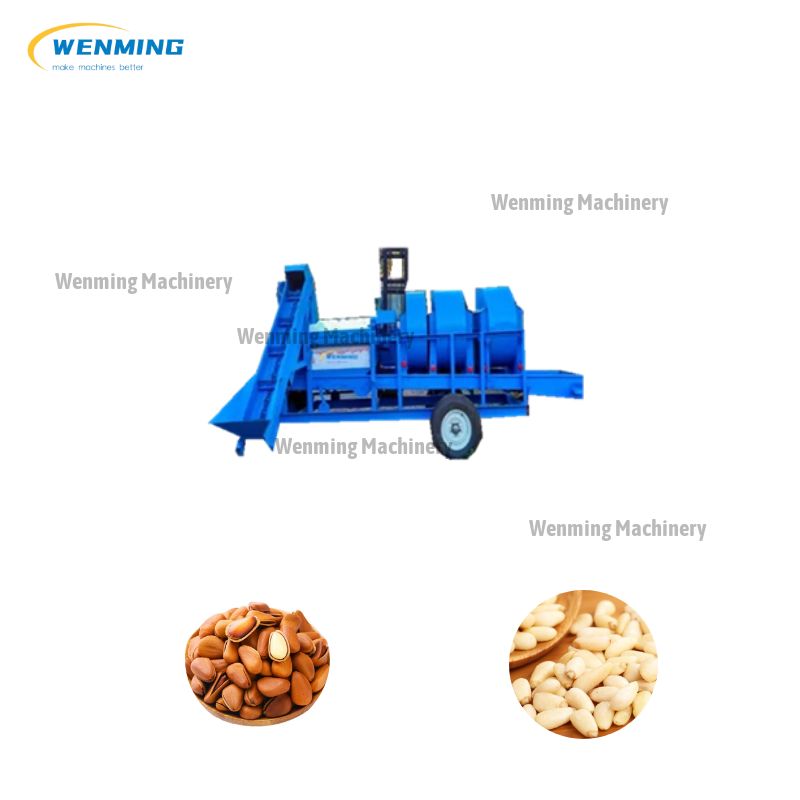 Pine Cone Pine Nut Cutting Machine Line