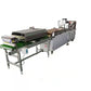 Taco Tortilla Process Line 