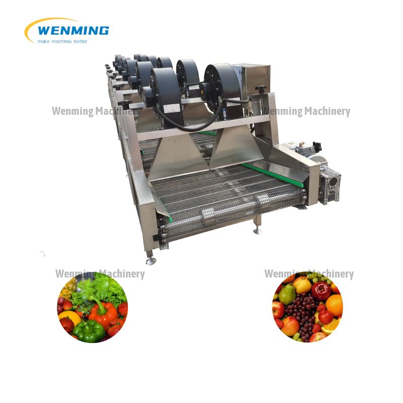 Automatic Vegetable Air Blower Dryer Machine