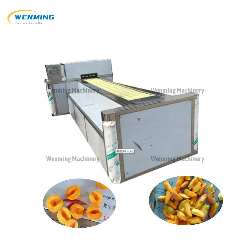 Apricot Seed Remover Machine
