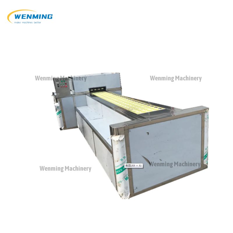 Apricot Pitting Machine