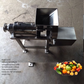 ginger juicer extractor machine