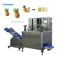 Pumpkin Pineapple Taro Peeler Machine