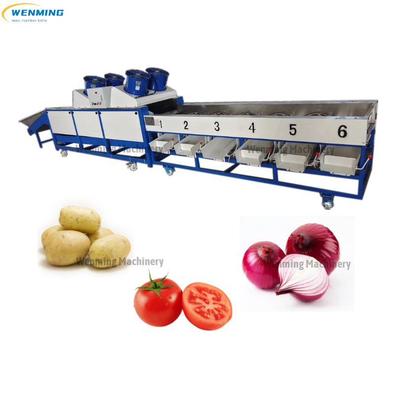 Fruit Size Sorting Machine – WM machinery