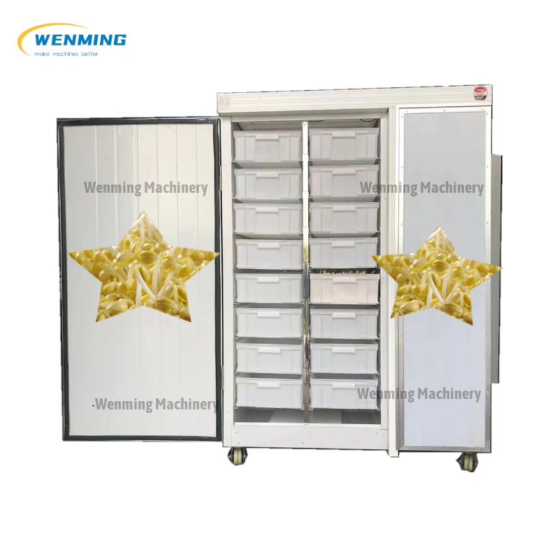 Sprout Way Machine Low Price Bean Germinater Automatic Sprouting Machine – WM machinery