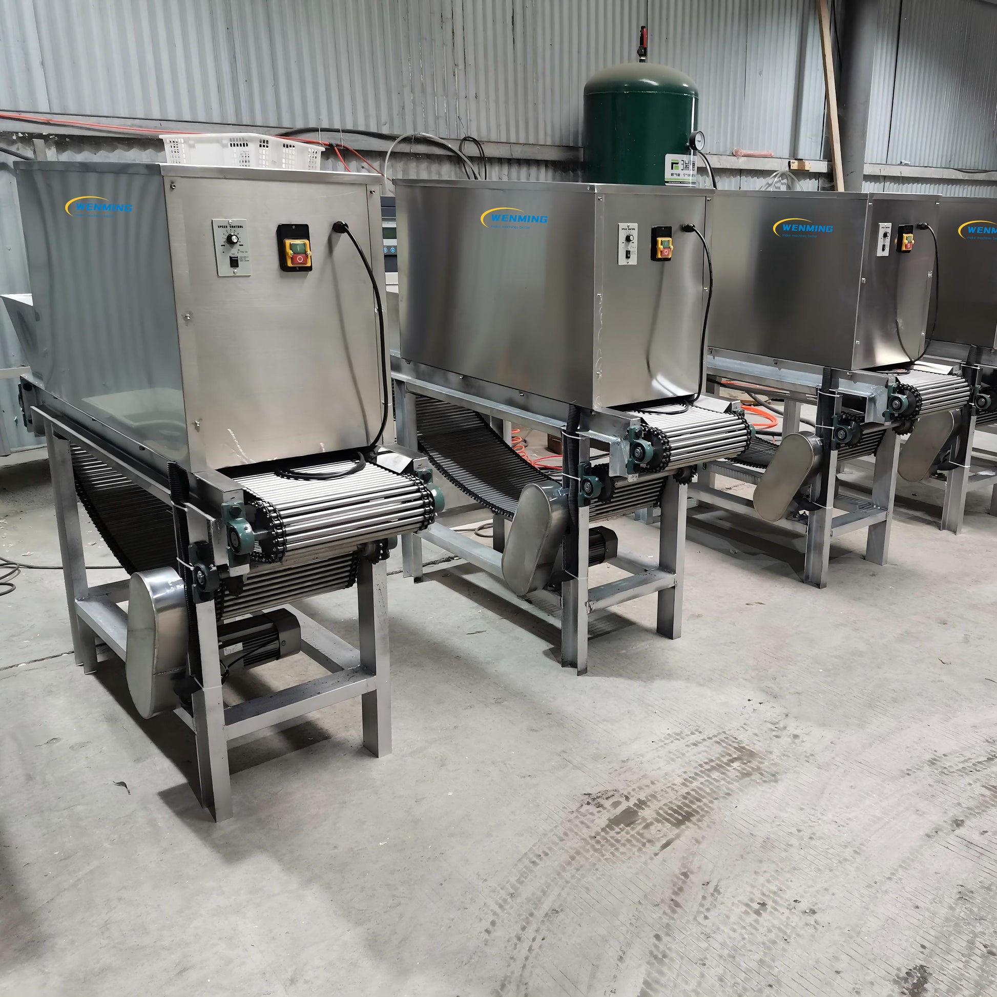 Garlic Cleaning Machine