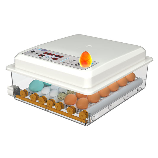 Advanced Farm-Specific Incubator and Home Made Chicken Incubator