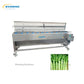 White Radishes Peeler Machine