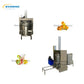 Juicer Fruit Extractor Machine 