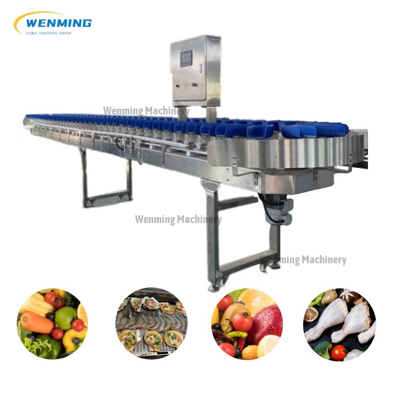 Fruit Sorting Machine