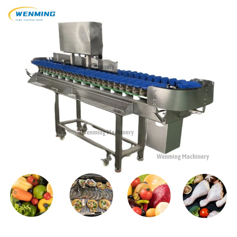 Auto Sorting Machine