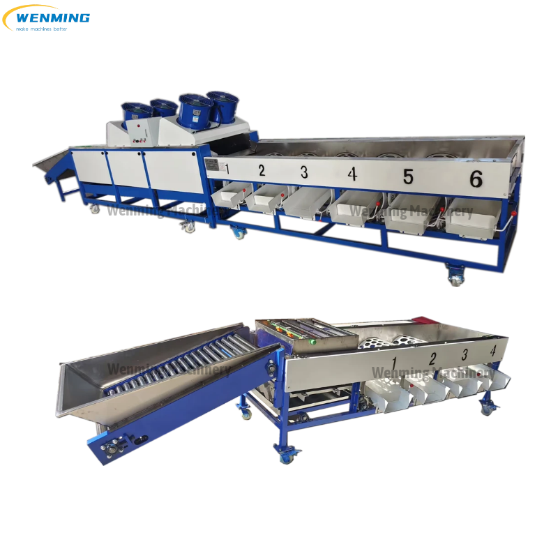  Garlic Onion Separating Sorting Classifying Machine