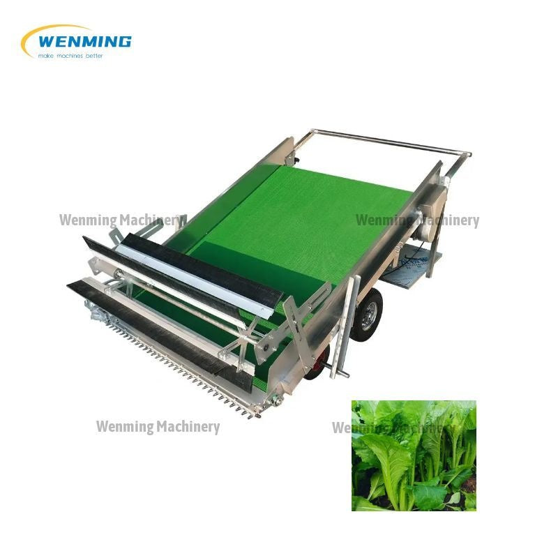 Bitter Chrysanthemum Harvester