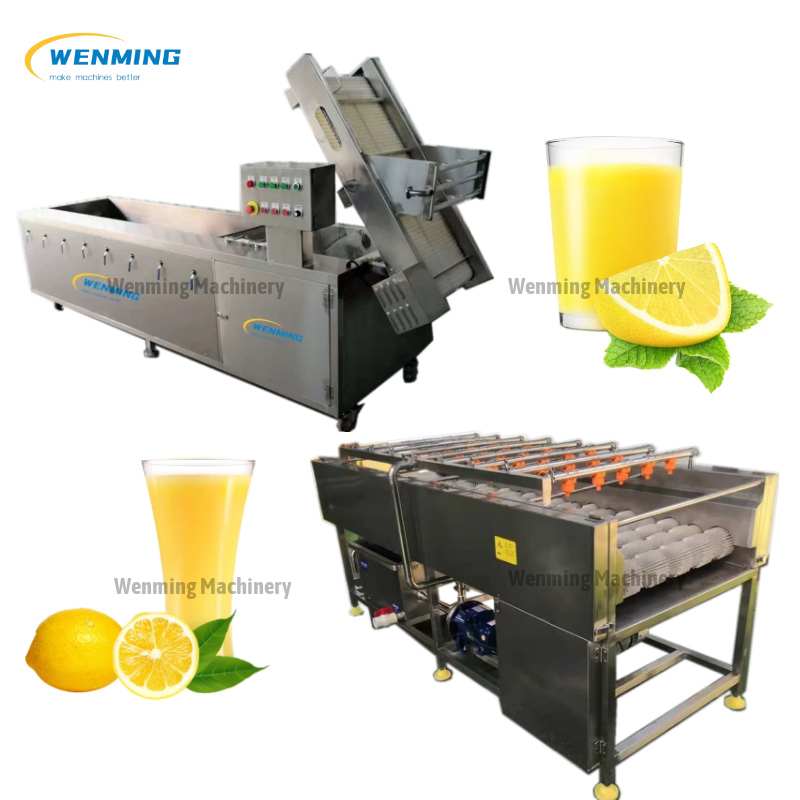 Industrial Juicer Machine 