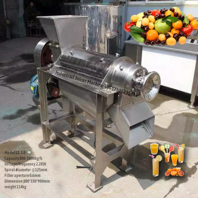 Ginger juicer machine sale