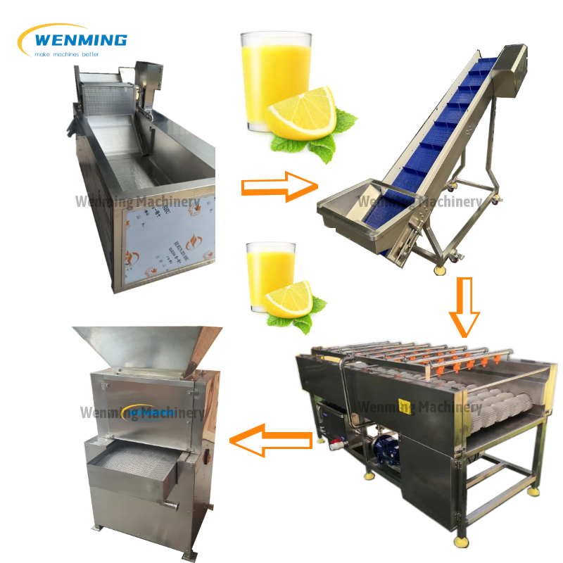 Industrial Citrus Juicer Machine