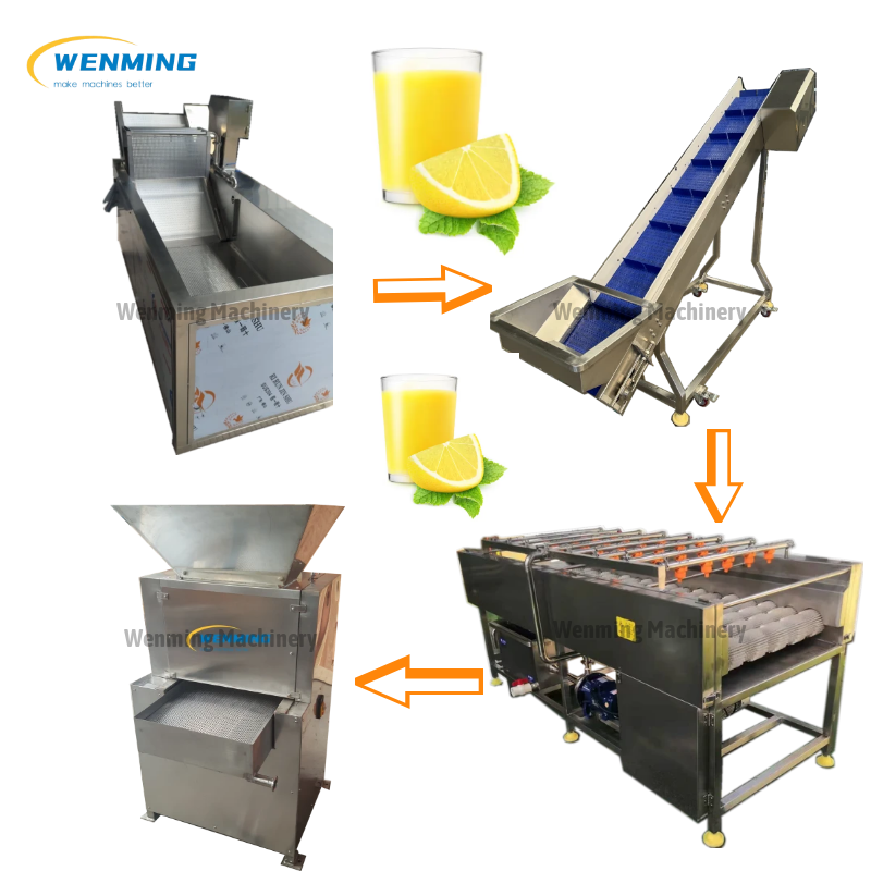 Industrial Juicer Machine 