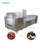 Multi-functional Longan Pitting Machine 
