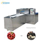 Multi-functional Longan Pitting Machine 