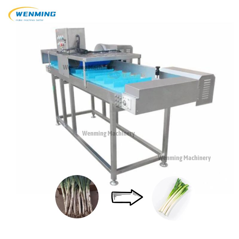Stainless Steel Spring Onion Peeling Machine Root Cutter Machine – WM ...