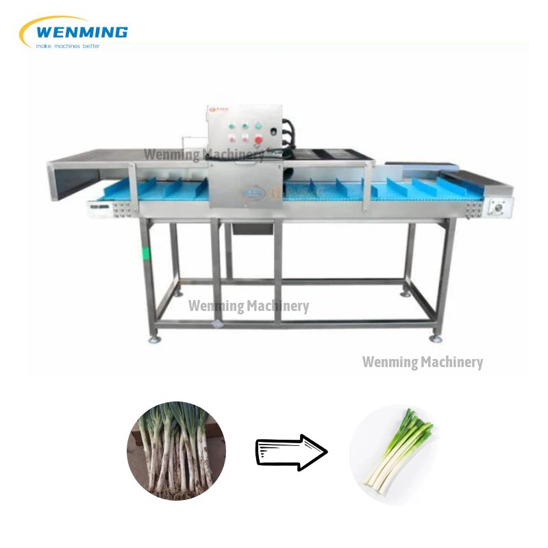 Stainless Steel Spring Onion Peeling Machine Root Cutter Machine – WM ...