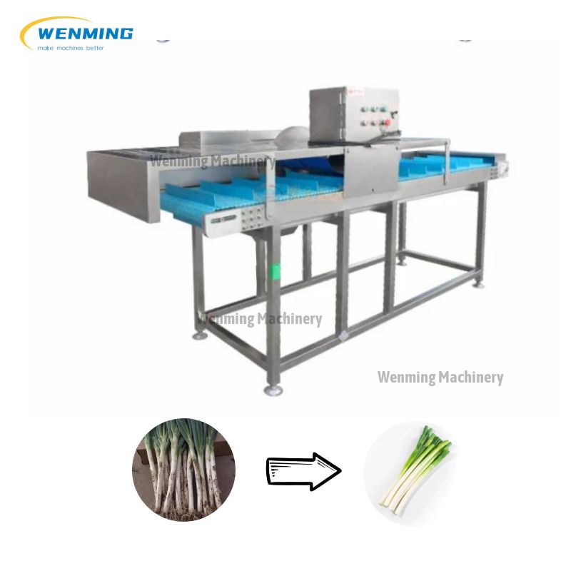 Spring Onion Peeling Machine