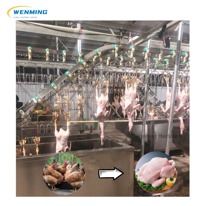 500-800 Automatic Chicken Killing Machine Commercial Stainless Steel ...