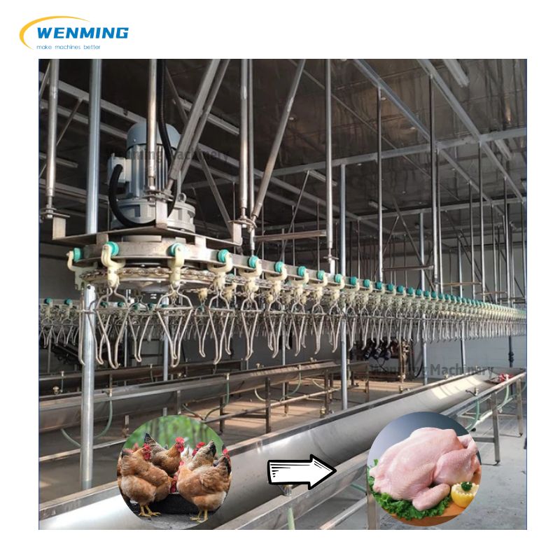 Automatic Chicken Slaughtering Machine Commercial Stainless Steel – WM ...