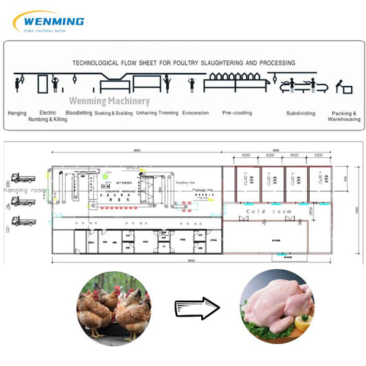 Chicken Slaughtering Production Line