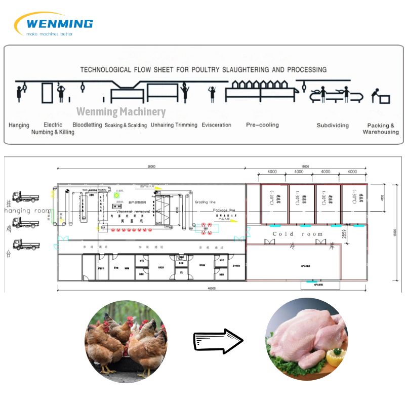 500-800BPH Commercial Automatic Chicken Stunning Machine Chicken Proce ...