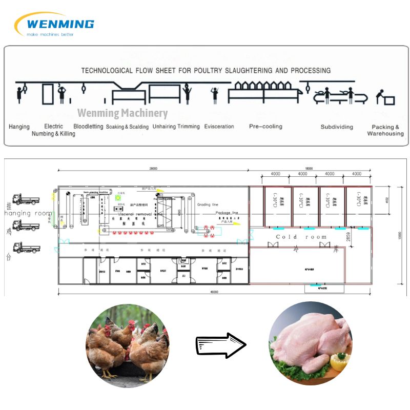 Chicken Stunning Machine