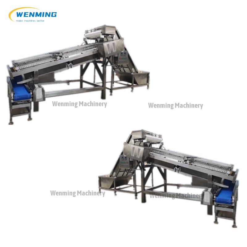 Shrimp Deveiner Machine