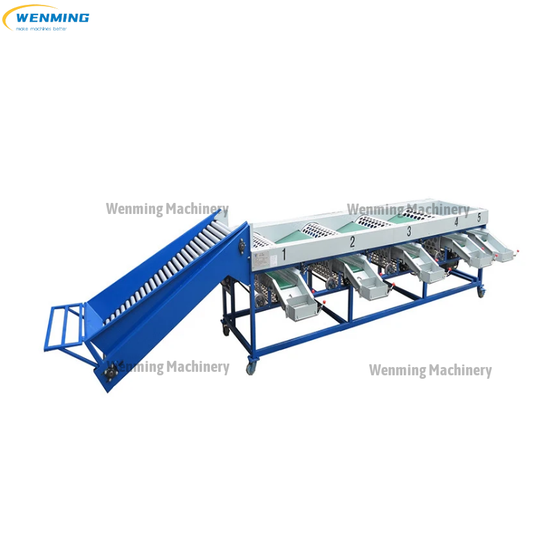 Green Bell Pepper Grading Machine