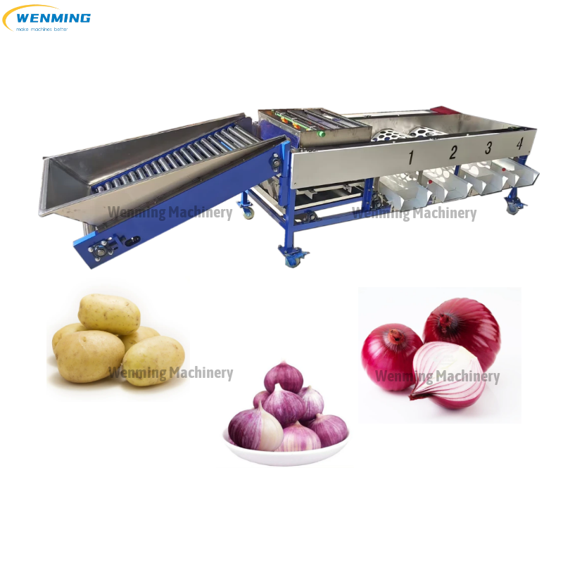 Garlic Tomato Size Sorting Machine