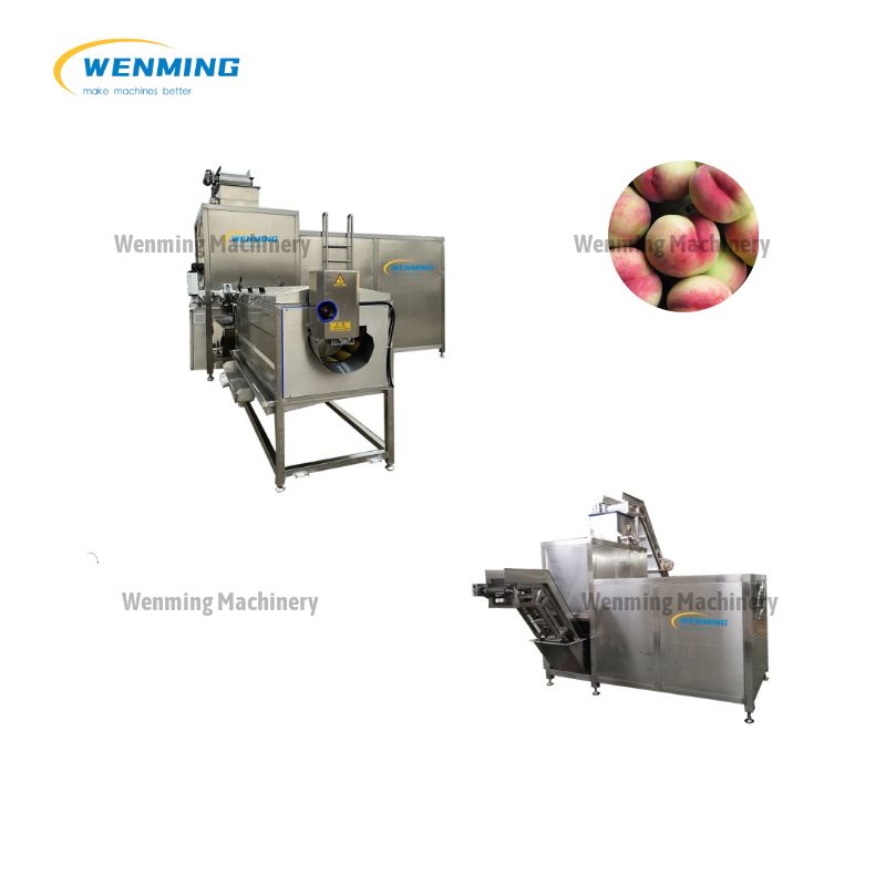 Tomato Steam Peeling Machine