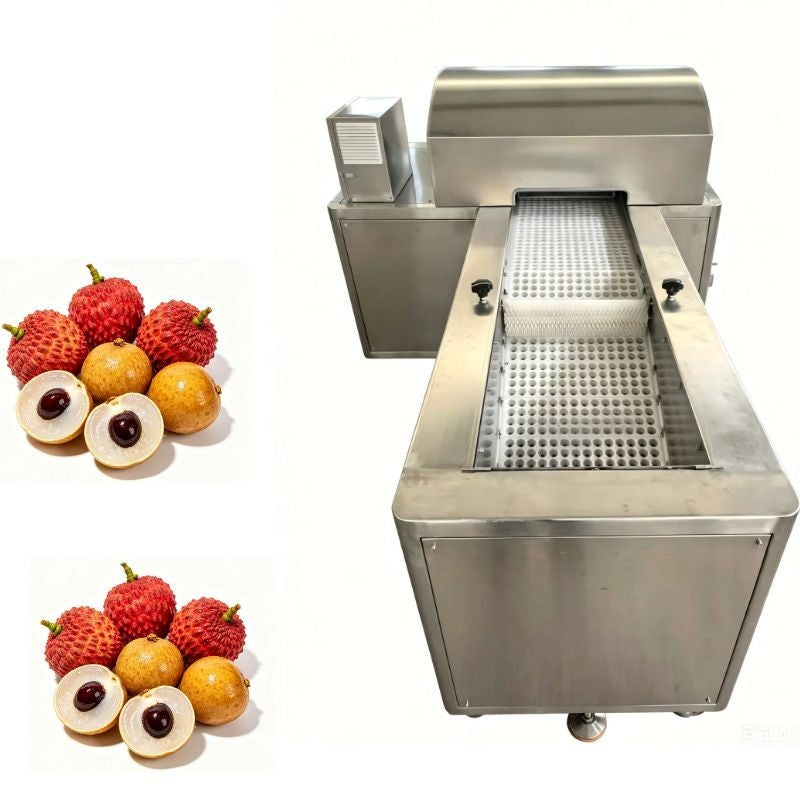 Lychee Longan Pitter Machine 