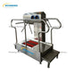 All in One Hygiene Station With Sole Sanitizer Personnel Sanitation 