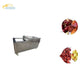 Professional automatic Australia Olive Dates Seed Removing Machine good price for sale